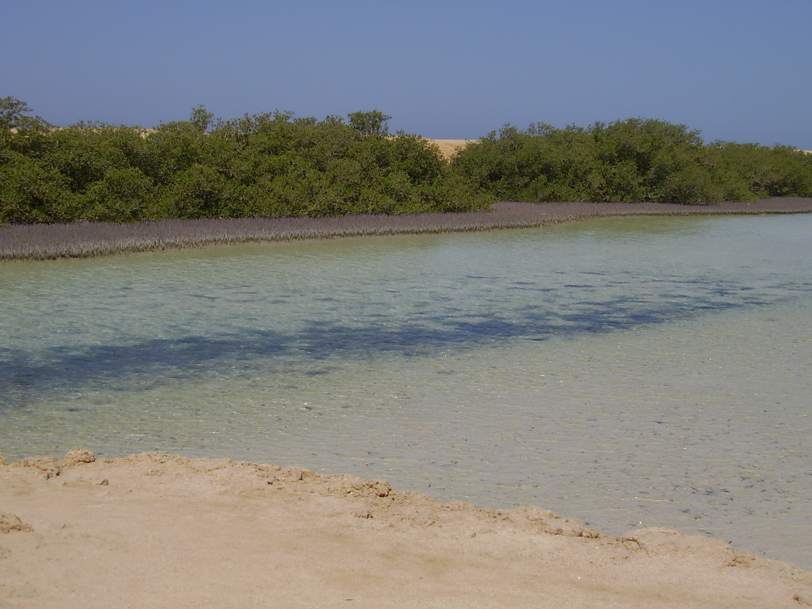 Sharm El Sheikh & Ras Mohammed