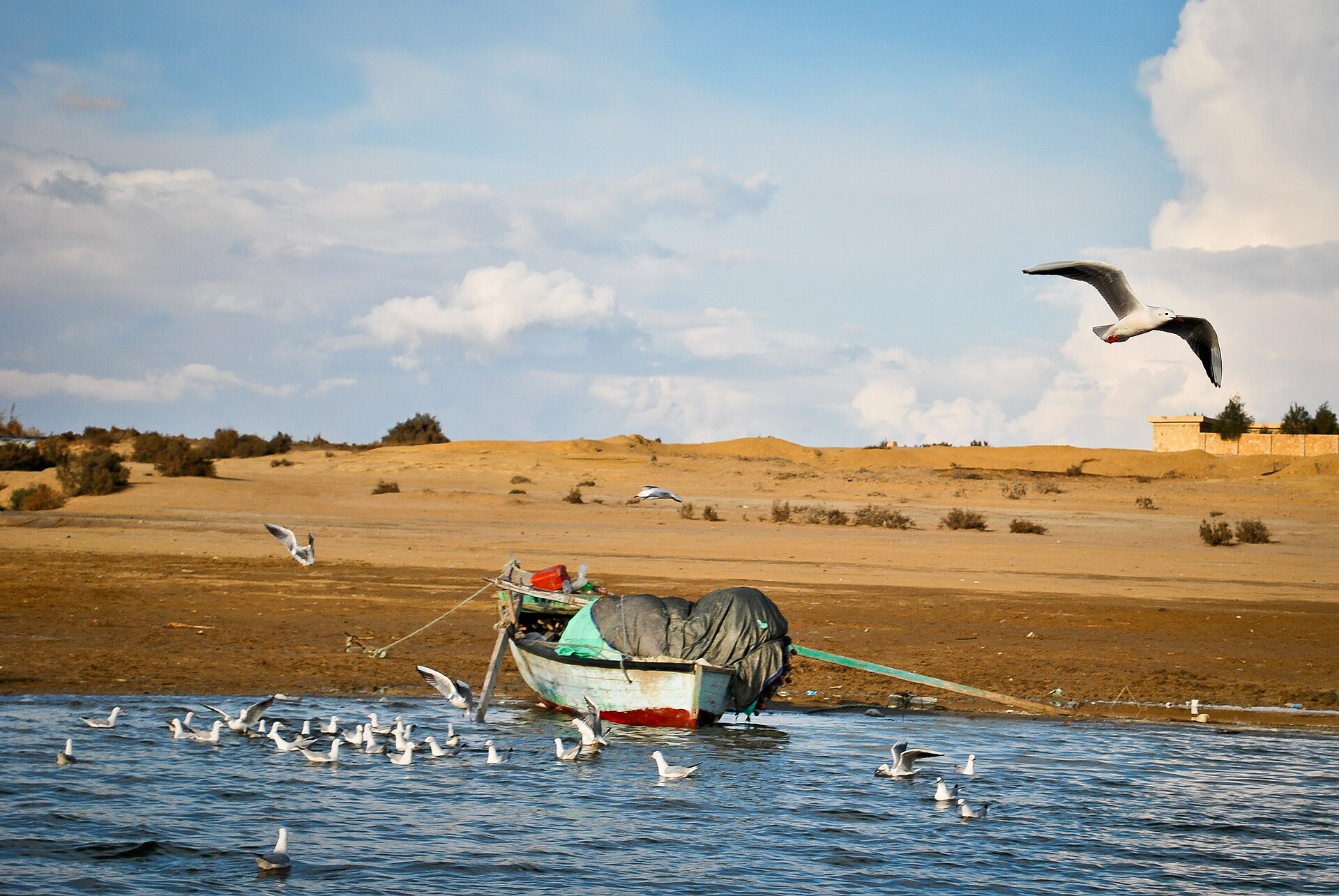 Fayoum & Wadi El Rayan Day Trip — Photo 3