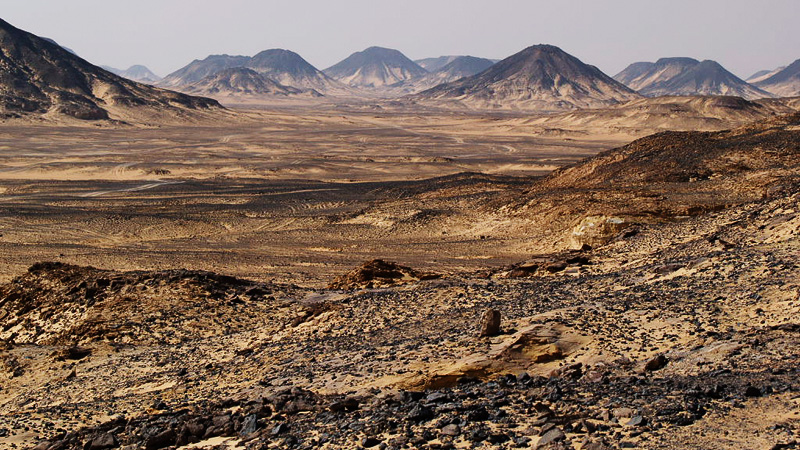Black Desert & Bahariya Hot Springs