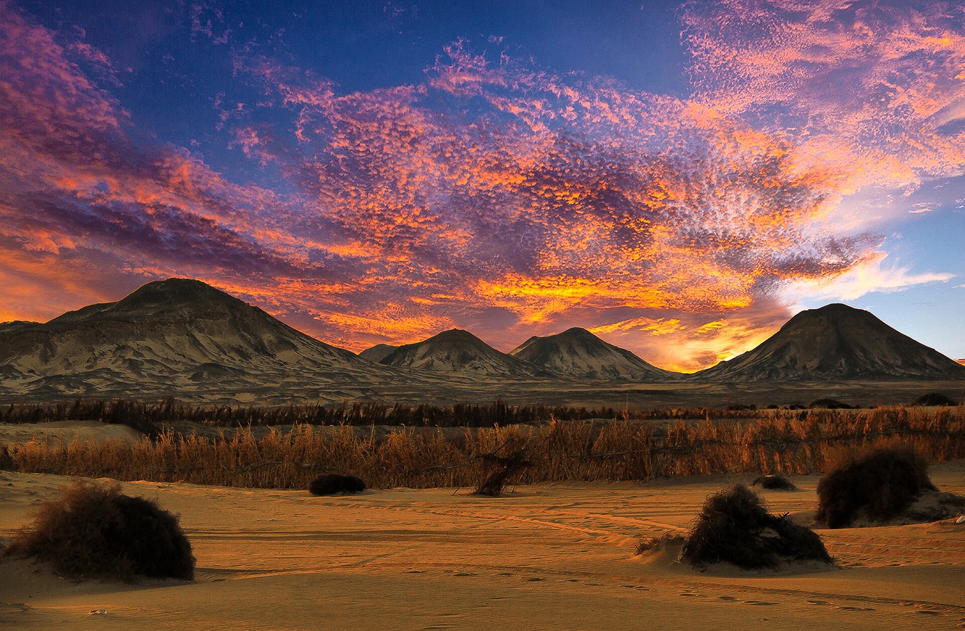 Black Desert & Bahariya Hot Springs — Photo 2